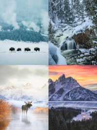 Traveling the American West: A Five-Day Yellowstone and Grand Teton Itinerary