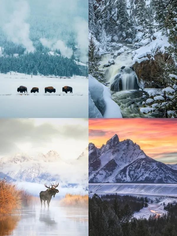 Traveling the American West: A Five-Day Yellowstone and Grand Teton Itinerary