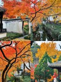 狼山北麓園秋日旅遊攻略：邂逅南通的詩意秋色