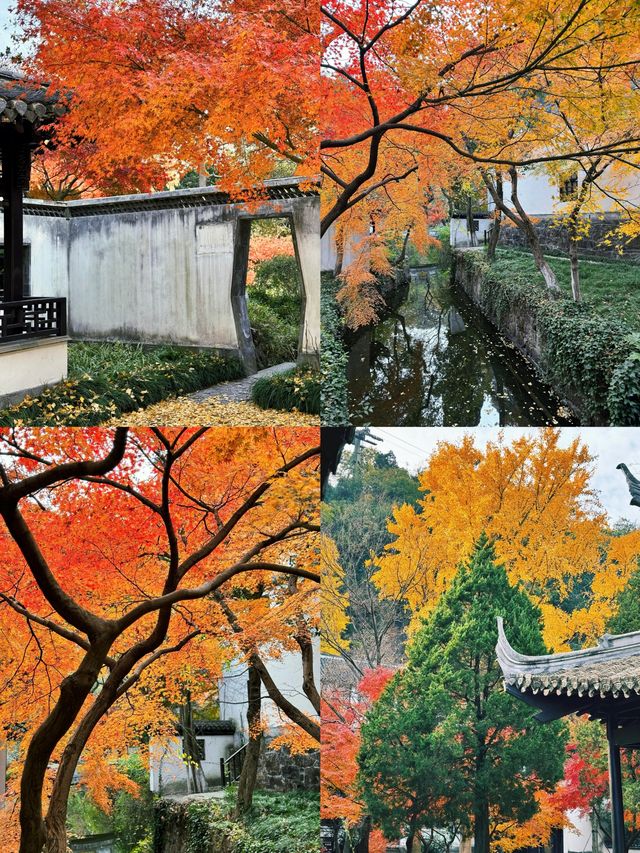 狼山北麓園秋日旅遊攻略：邂逅南通的詩意秋色