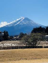 日本·靜岡縣