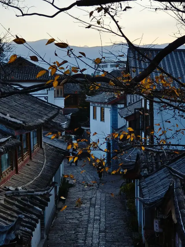 Yunnan in January is on another level!