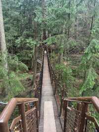 Experience the Thrill of Capilano Suspension Bridge Park