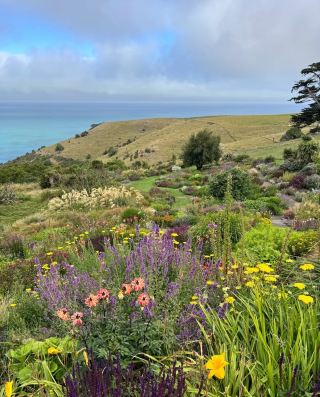 뉴질랜드 Fishermans Bay Garden