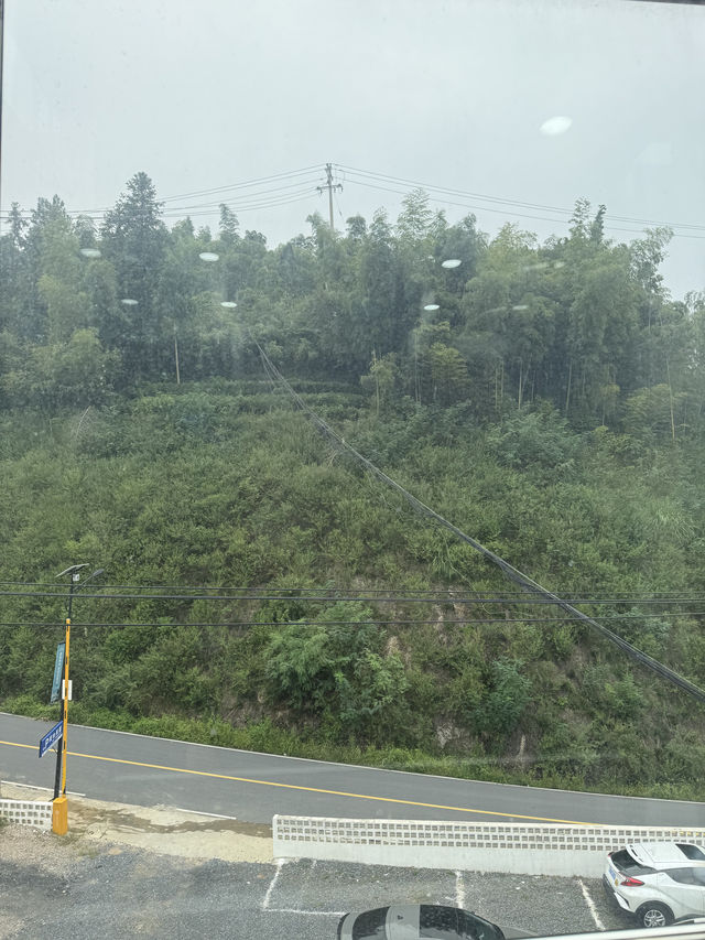 去沒有天花板的地方勇敢摔跤吧！