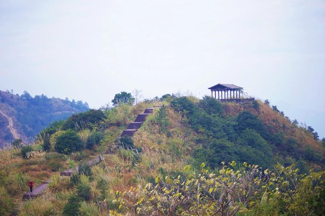 「【徒步天堂】陳平山：小眾秘境，與自然親密接觸的絕佳去處！」