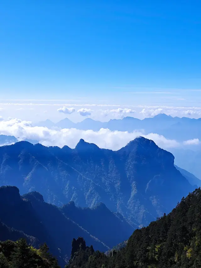 8-Day Hubei-Chongqing Tour: A Super Practical Guide to Exploring Two Destinations!