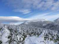 相約本州島的最北端———青森縣の雪