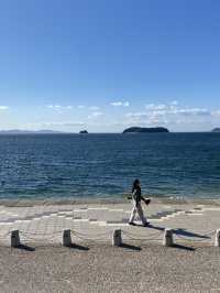 名古屋附近 蒲郡的海