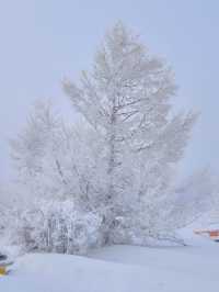 長春-長白山-延吉3日滑雪之旅超詳細攻略