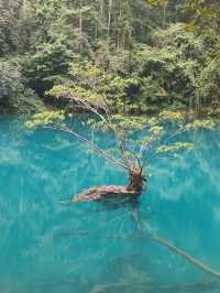 熱門四天玩轉貴州貴陽-黃果樹-荔波 看這篇攻略就夠了