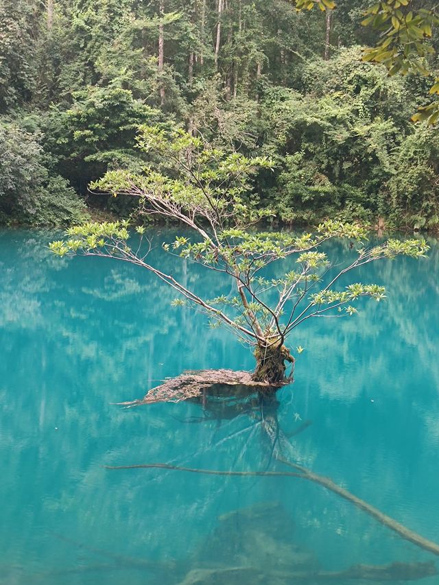 熱門四天玩轉貴州貴陽-黃果樹-荔波 看這篇攻略就夠了