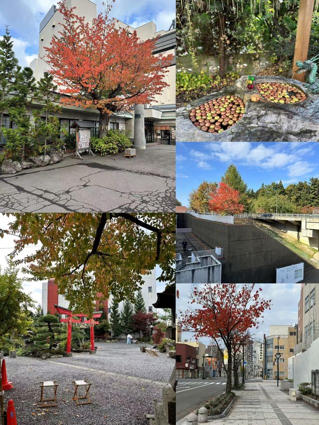 奔赴青森，邂逅四季浪漫