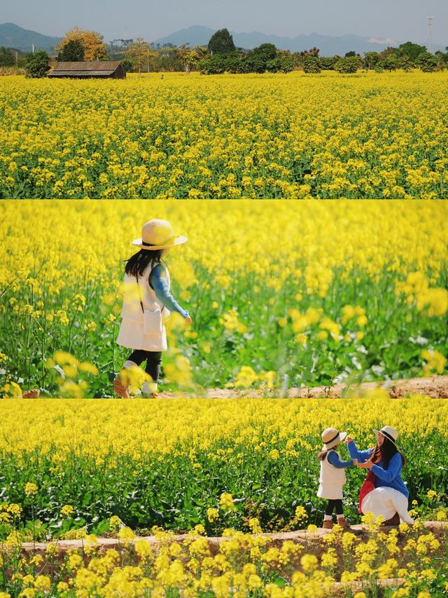 拒絕人擠人！佛山三水一日遊路線直接抄