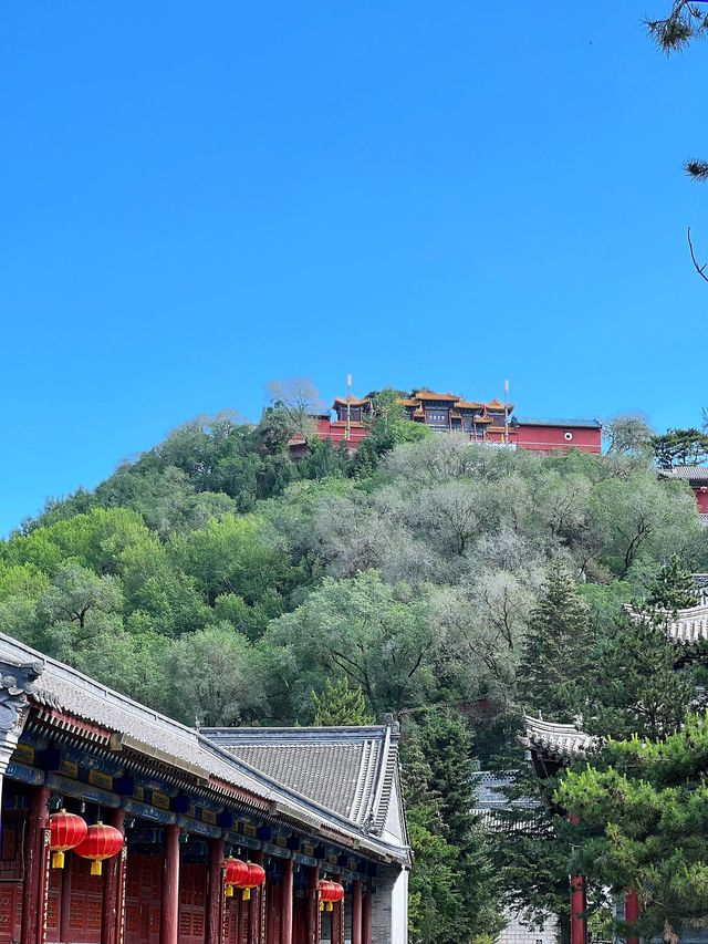 山西太原-五臺山-大同深度遊 解鎖博物館裏的歷史之謎