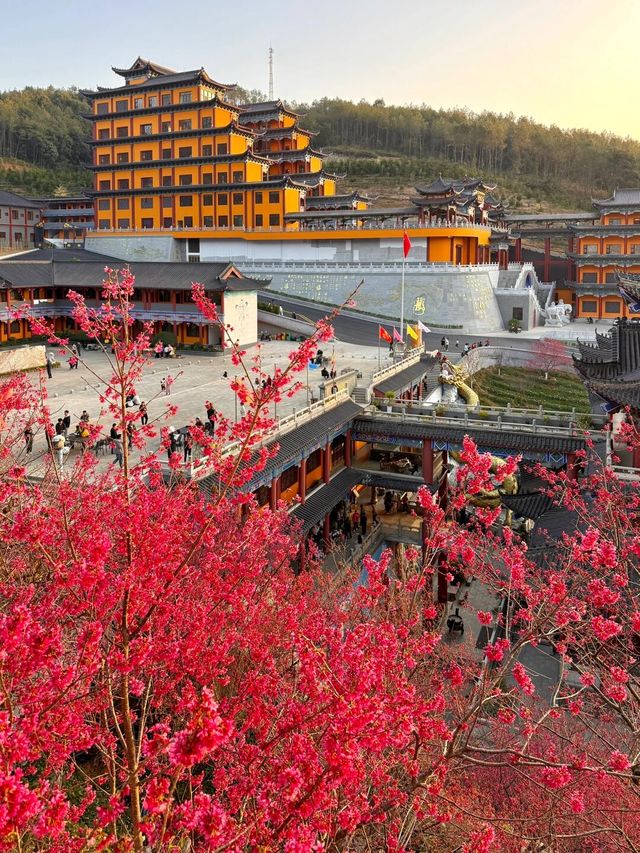 在廣東！！我唯一想去無數次的超大免費寺廟！！