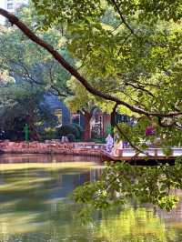 上海人民公園，好天氣裏的絕美出片聖地