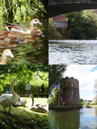 Norwich: Unlocking the Hidden Treasures of England