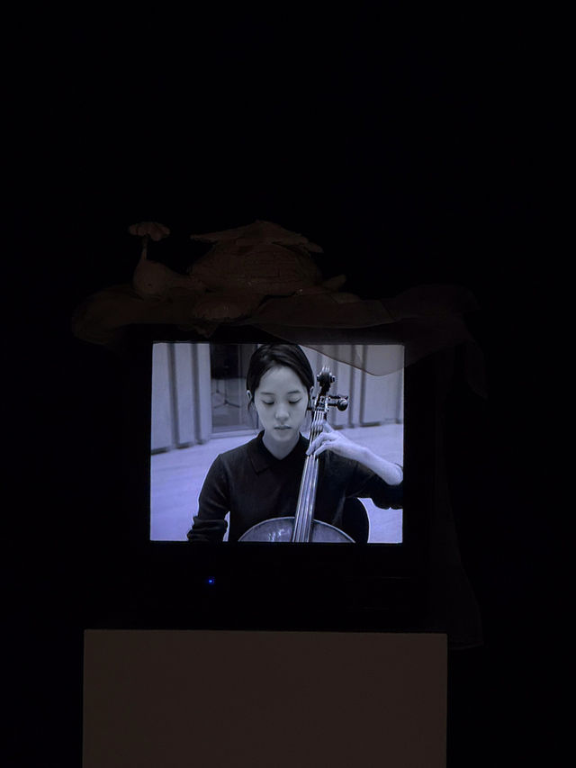 🎨 深圳的藝術之旅 - 海上世界文化藝術中心與歐陽娜娜藝術展 🎨