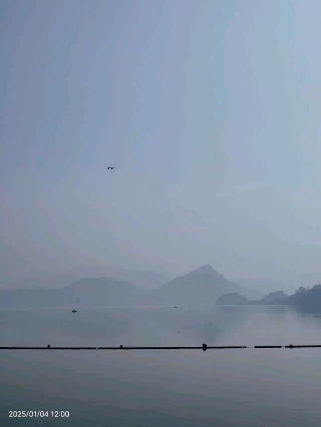Travel Experience at Qingshan Lake in Hangzhou