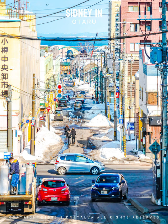 ❄️為什麼2025年雪季還要去小樽？