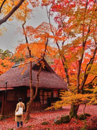 나라에 처음 오셨다면, 이 일일 여행 코스를 그대로 따라해 보세요