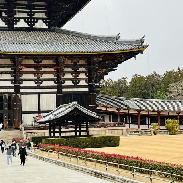 大阪周邊@奈良東大寺