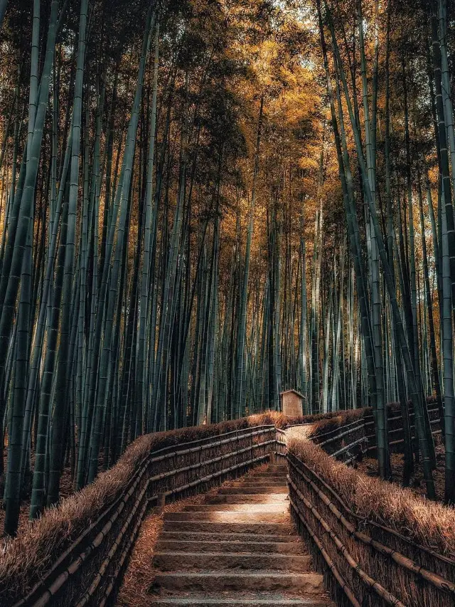 Experience the Romance of a Japanese Winter in 5 Days