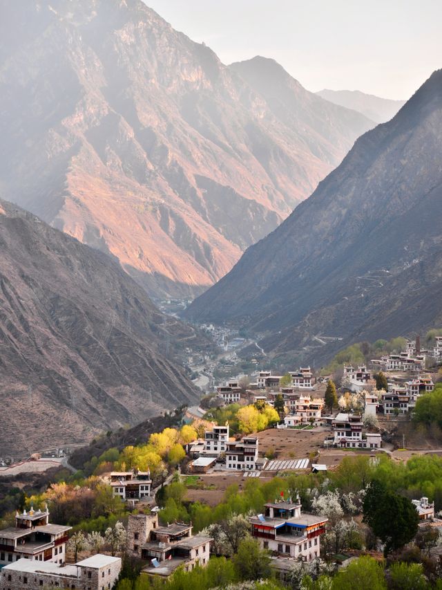 丹巴梨花 | 錯過等一年的川西絕景，這份指南請收藏