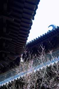 慧英高麗寺