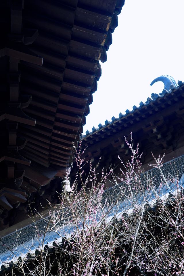 慧英高麗寺