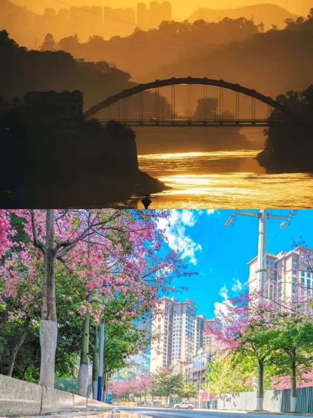 3月的攀枝花，真的贏麻了。