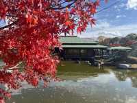 🍁大阪賞楓 | 大仙公園的秋日浪漫🍁