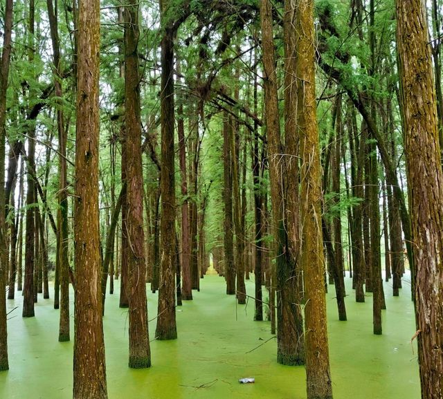 隆回小沙江｜闖入湘西南秘境！湖南邵陽