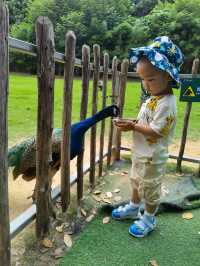 必睇！動物園節假日暢玩全攻略，演出時間表都在這