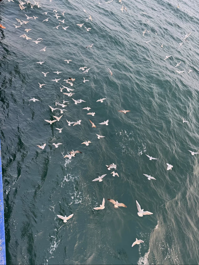 青島超詳細旅遊攻略，帶你嗨玩浪漫海濱之城