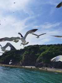 青島-威海-煙台5日遊超火路線速速收藏