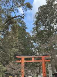 手向山神社：奈良的隱藏瑰寶⛩️🌸