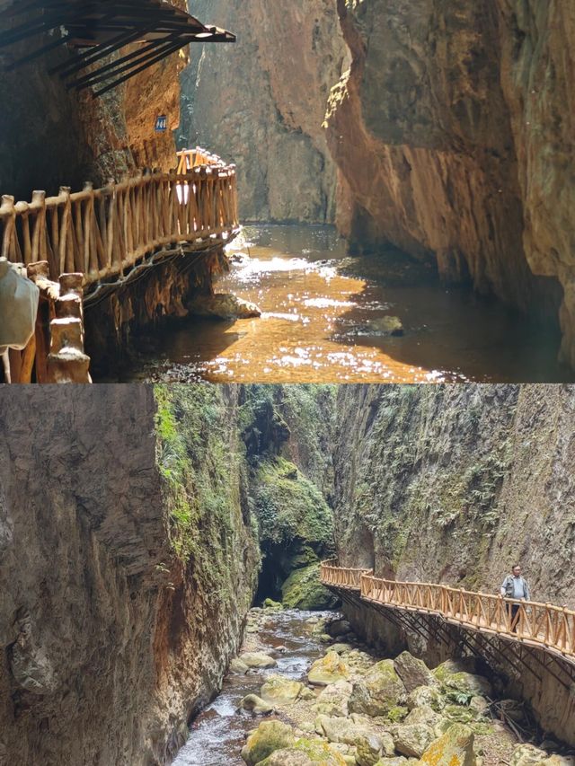 被雲南私藏的「地心博物館」，終於藏不住啦