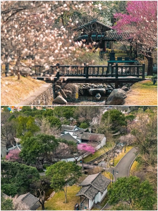 寧波已回，真不建議3月去因為一首歌來到一座城