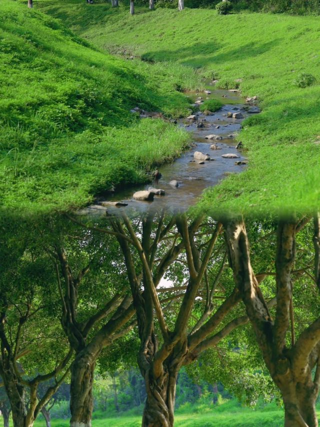 廣州小眾夏日玩水地，免費原生態！