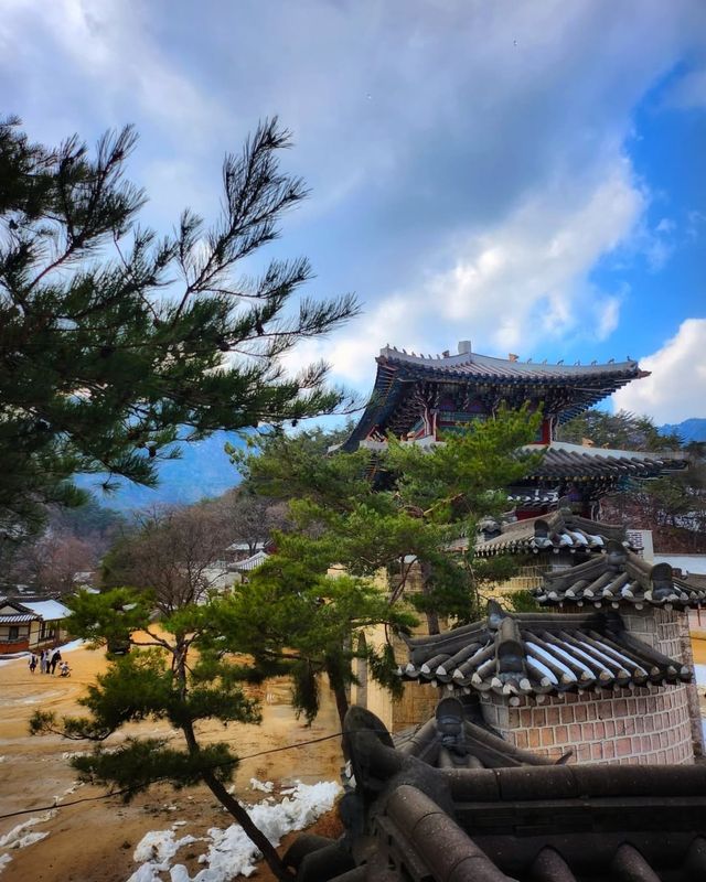 聞慶市竟然藏著韓國懸崖咖啡廳、粉色海洋、千年山城...