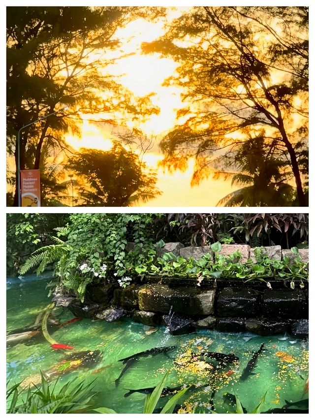 馬累：馬爾代夫的靈動之心，開啟夢幻海島的魅力前奏