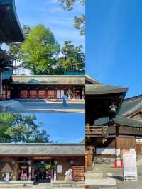 解鎖日本新潟 | 小眾寶藏旅遊地