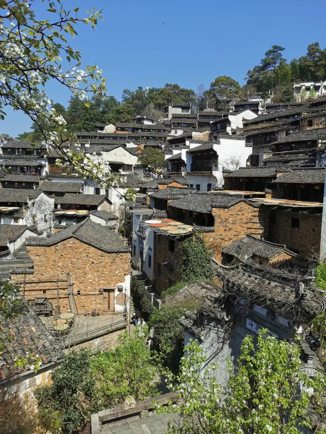 【江西婺源】篁嶺景區自駕遊。