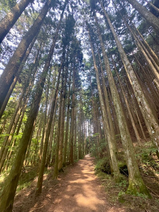 日本2日遊｜小長假超全攻略不走彎路