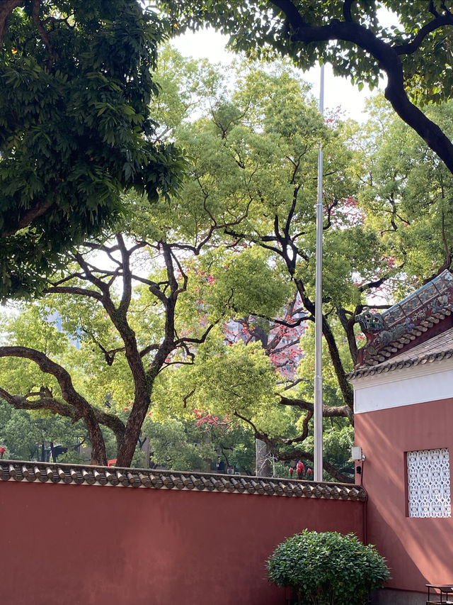 廣州農講所賞木棉花之旅