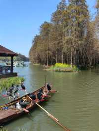 江蘇旅行 | 李中水上森林公園旅遊攻略