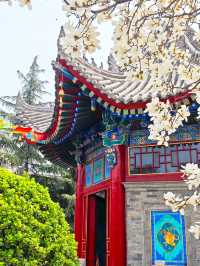 西安廣仁寺 | 西北邊陲的「小布達拉宮」
