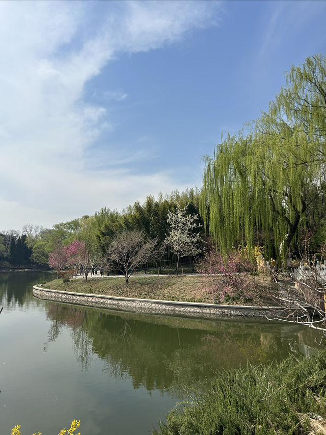北京免費郊遊賞春公園～